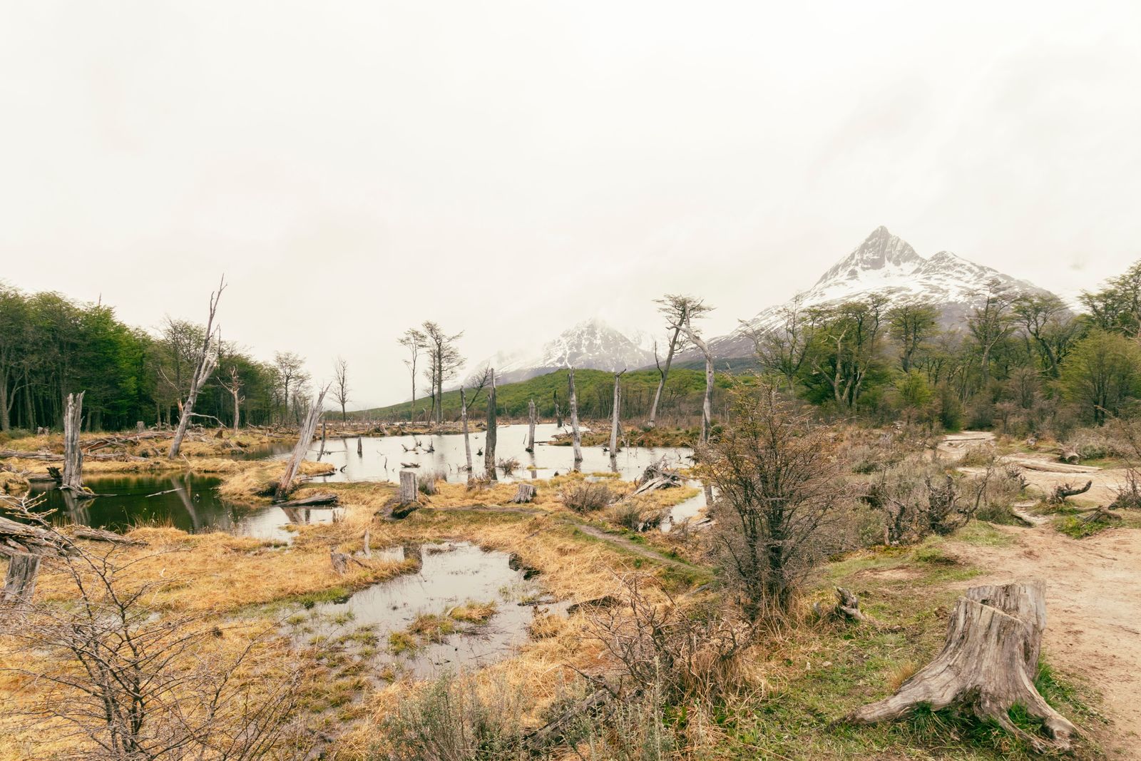 Patagonia argentina